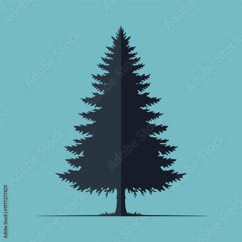 Silhouette of Evergreen Tree on Turquoise Background