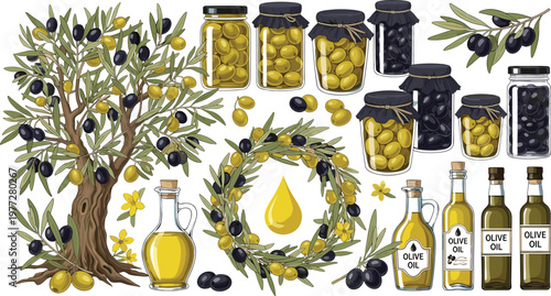 Olive Oil Production Illustration Set with Tree Branch Jars Bottles and Wreath for Organic Food Mediterranean Agriculture Design Collection