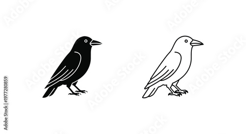 BlackAndWhiteBirdsComparisonIllustration Vector