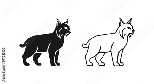 Lynx Cat Silhouette Comparison Design Guide Vector