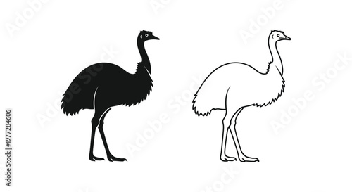 Ostrich, bird, black, white, icon, illustration, vector graphics, animal, wildlife, symbol, logo, silhouette