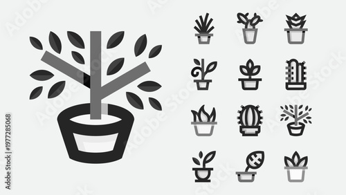 Indoor Flower Pots Interior Decoration Illustration