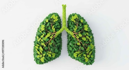 Lungs Constructed of Green Leaves – Sustainable Health Marketing Illustration Lungs Anatomy Human Body