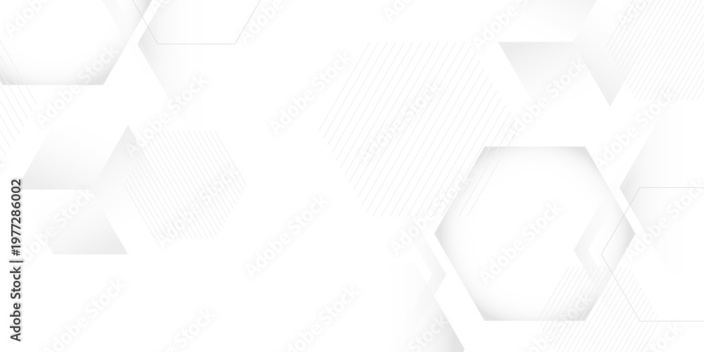 Fototapeta premium A subtle hexagon pattern background with interconnected shape in soft gray and white. Simple abstract modern background White geometric hexagonal frame stokes shape texture Business background Vector.
