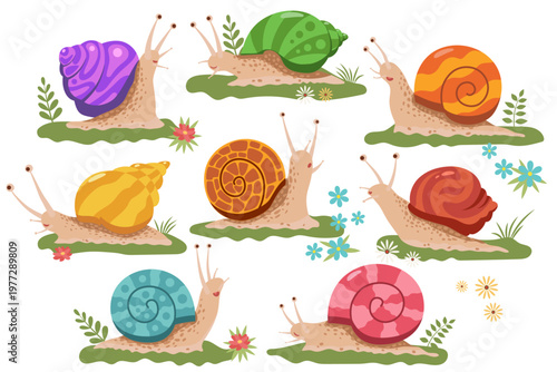 Set of colorful cute snails with different patterns and colors of shells. Flat vector illustration of garden mollusks for children's fairy tales, educational cards and book illustrations