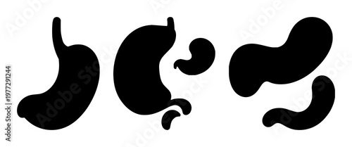 Gastroenterology stomach icon set with solid black design against white background featuring medical anatomy, digestive system, illustrative symbol with line art and silhouette