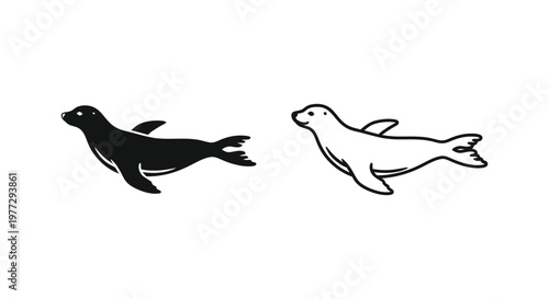 Sea Animals: Seal Swimming Comparison Guide Vector