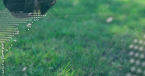 Animation of data processing and globe over horse