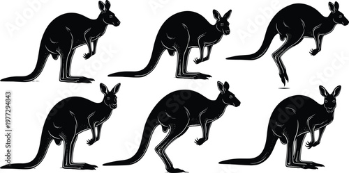 Set of kangaroo silhouettes in various poses including jumping standing and hopping australian wildlife marsupial vector illustrations for nature conservation zoo graphics and outback design projects