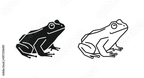 Frog Anatomy Diagram: Side Views Comparison Vector