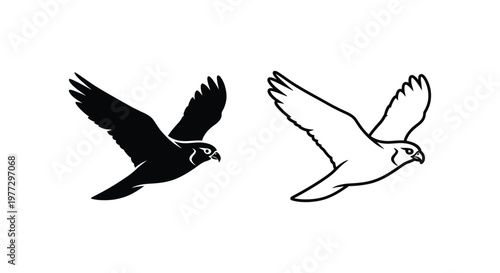 Eagle Symbols: Black & White Flight Designs Vector