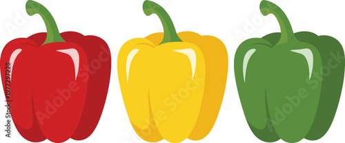 Bell Pepper Illustration Set with Red Yellow and Green Capsicum Vegetables for Fresh Food Cooking Ingredient and Healthy Diet Design Collection