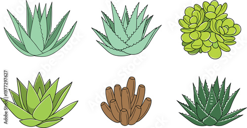 Succulent Plant Illustration Set with Various Green Rosette and Aloe Shapes for Botanical Nature Design and Decorative Collection
