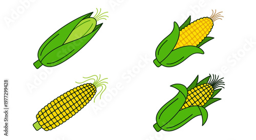 Colorful cartoon illustration of fresh corn on the cob and silks