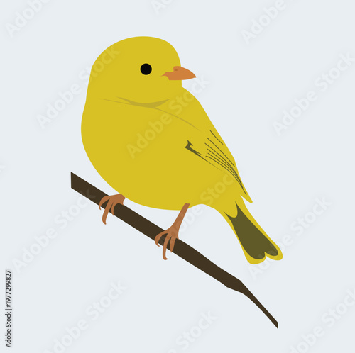 bird resting on a branch
