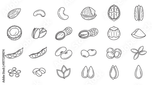 Nuts and seeds collection hand drawn icons in black outline, including almonds, cashews, peanuts, walnuts, pistachios, soybeans, and coconut slices.
