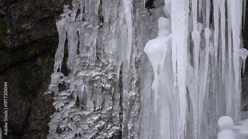大きなツララからしたたる雪解け水