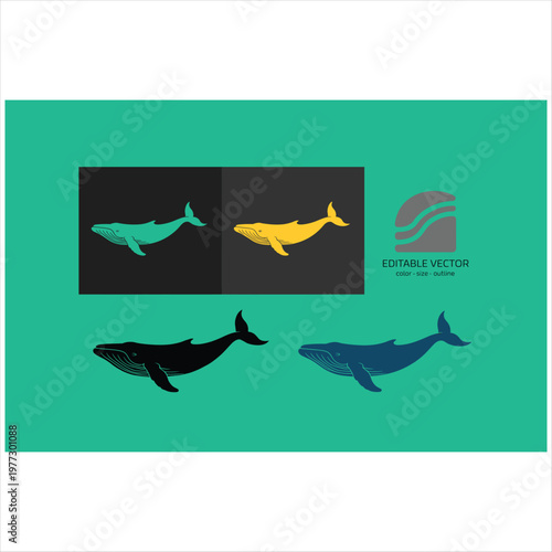 Of two sharks and two fish in teal background marine life