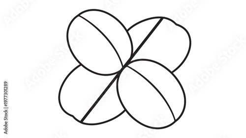 Four coffee beans graphic with central lines on a white background, simple and clean line art featuring caffeine, drink, beverage with food and