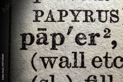 Word paper printed on dictionary page, macro close up