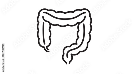 Large intestine icon with simple outline, representing the digestive system in a clean and clear graphic.
