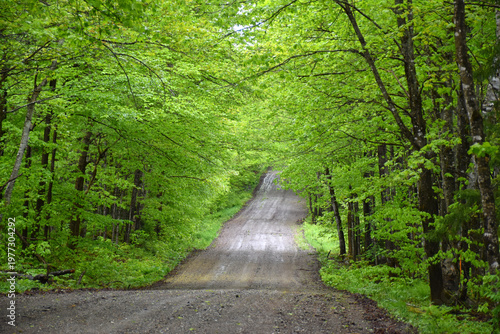A deserted road in spring, Sainte-Apolline, Québec, Canada