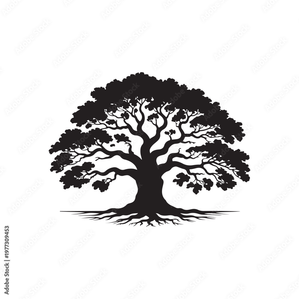 Fototapeta premium Detailed black silhouette of a large, oak tree with spreading branches and visible roots on a white background