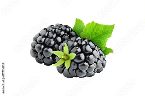Obraz na plátne blackberry on white background