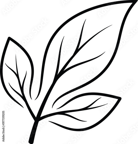 Black and white illustration of a simple leaf with three leaflets