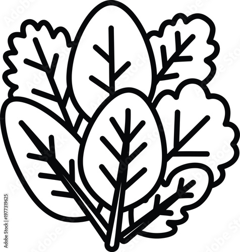 Black and white illustration of leafy green vegetables