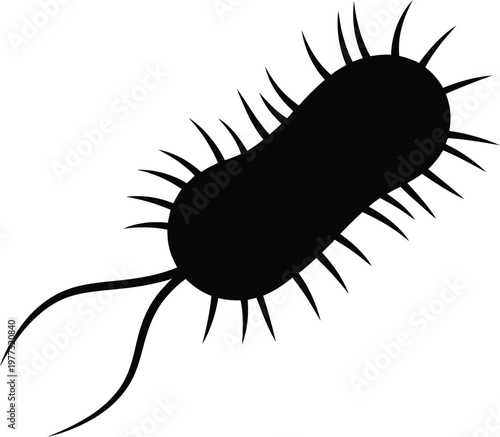 Silhouette of bacterial cell shape with short protruding pili and single flagellum