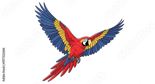 Vibrant Scarlet Macaw Parrot Flying with Open Wings, Tropical Bird