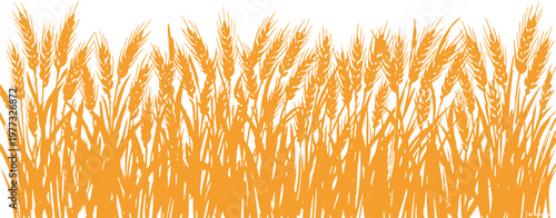 Wheat ears border pattern showing orange grain stalks for agricultural harvest background.