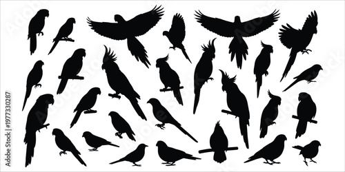 A flock of silhouetted birds in flight a dynamic and artistic composition