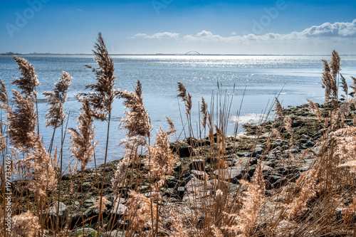 Der Küstenabschnitt Orther Bucht in der Nähe von Orth, auf der Ostseeinsel Fehmarn