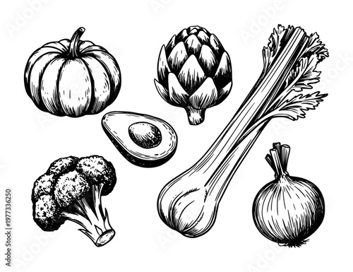 Hand-drawn collection of fresh vegetables: pumpkin, artichoke, avocado, broccoli, celery, onion