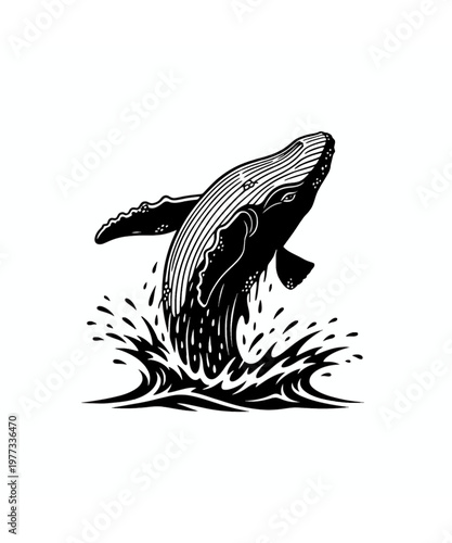jumping humpback whale splashing water vector illustration