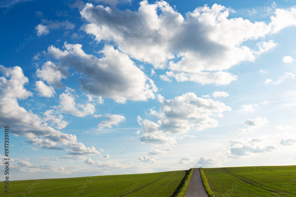 Fototapeta premium White clouds on a blue sky over green field