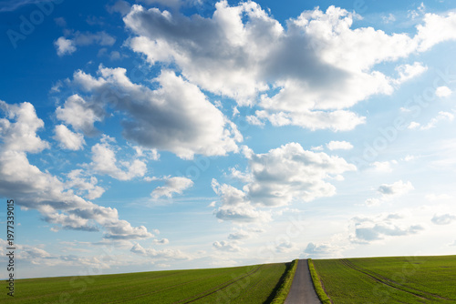White clouds on a blue sky over green field