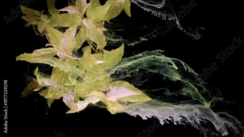 Yellow leaf procession trailing white ink, autumnal botanical study with seasonal drift and textured plume, cinematic slow motion capturing transition