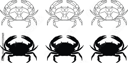 Crab silhouettes collection, marine life design, seafood illustration, ocean animal icon, biology graphic, aquatic art, black silhouette pattern