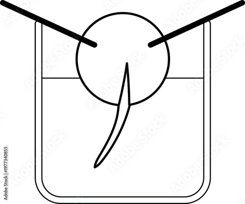 Minimalist line art illustration of avocado seed sprouting in water with toothpicks