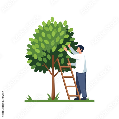 Man pruning tree in flat illustration style with vibrant green leaves in natural lighting for gardening or landscaping