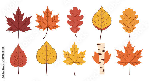 Colorful autumn leaves on stems.