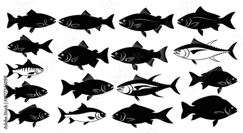 Collection of various fish silhouettes swimming.
