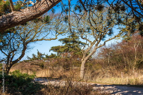 Das Vogelschutzgebiet und Naturschutzgebiet Wallnau auf Fehmarn an der Ostsee im Frühling