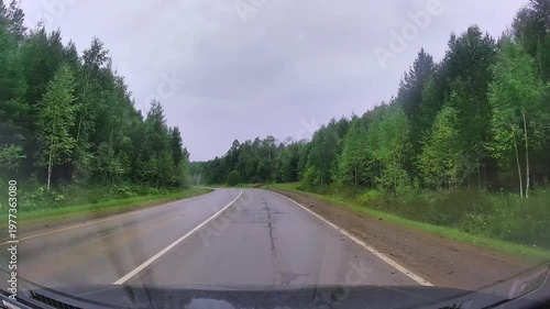 Driving through a rainy forest road with wet trees and green scenery