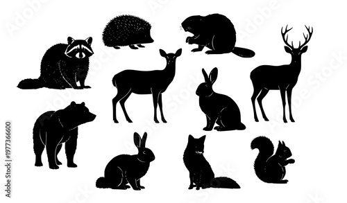 Wildlife animal silhouettes in circular layout with raccoon hedgehog deer wolf bear rabbit black vector illustration