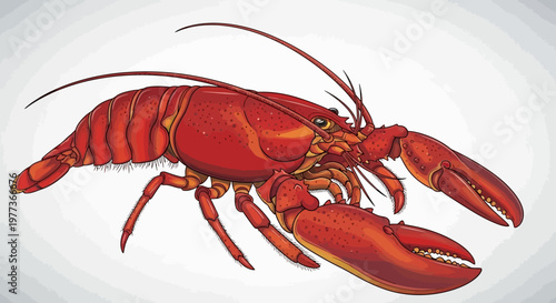 Vibrant Red Lobster Illustration with Detailed Claws and Antennae
