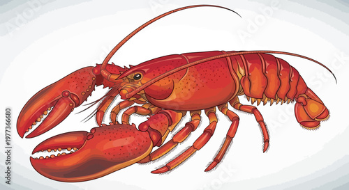 Vividly Illustrated Red Lobster with Large Claws and Antennae